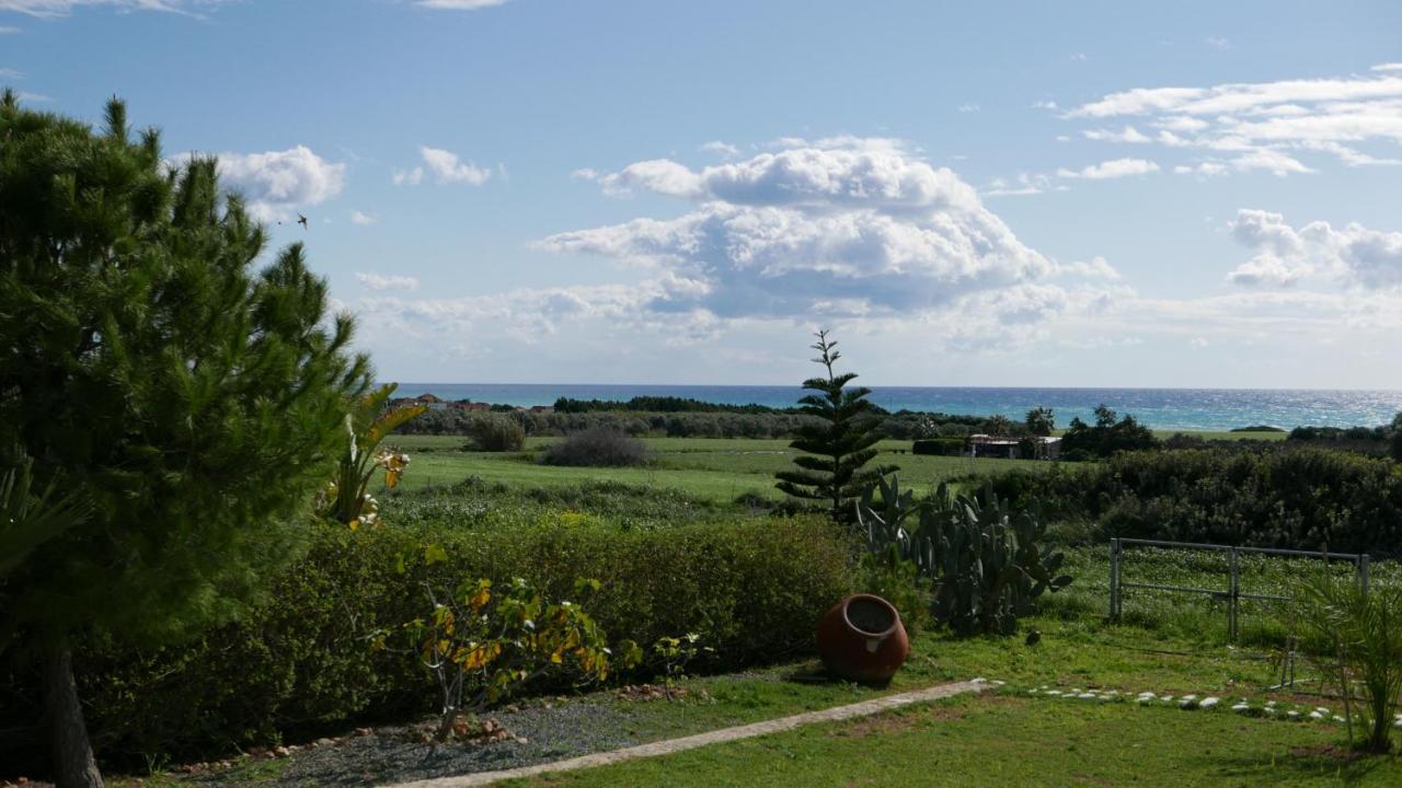 Casa Vacanze Baciata Agios Theodoros Ngoại thất bức ảnh